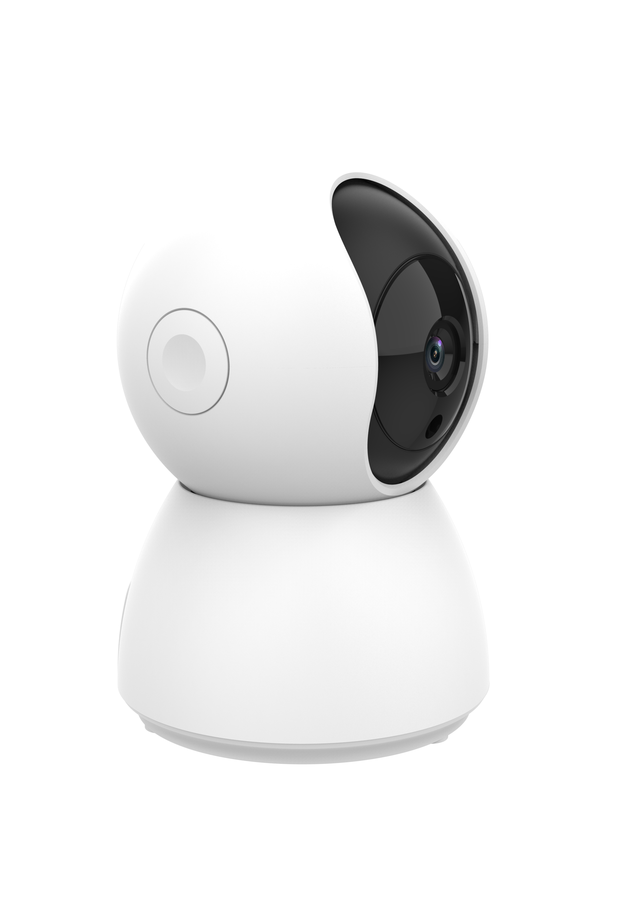 IOT camera alarm system